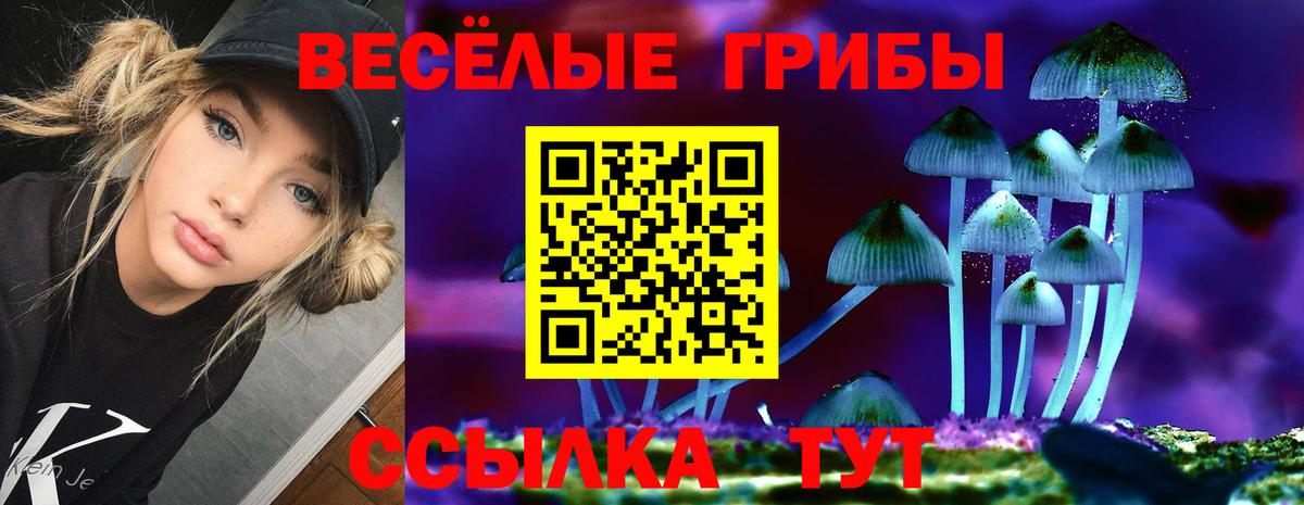 Галлюциногенные грибы Psilocybe  Вход с VPN  Горно-Алтайск 