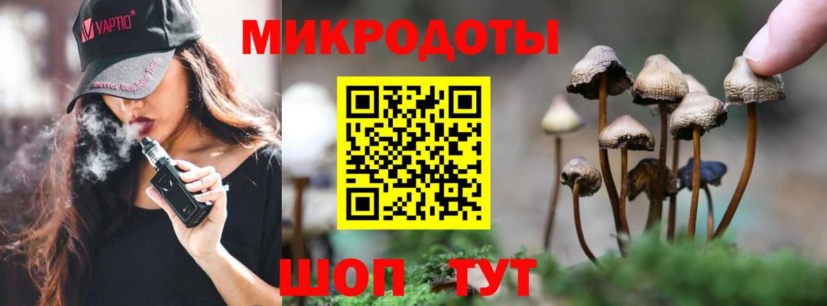 Галлюциногенные грибы прущие грибы Горно-Алтайск